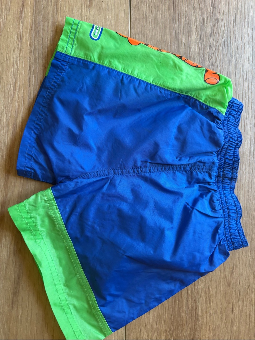 Blue and Green Kids Swim Trunks with Tigger Graphic - Picture 4 of 6